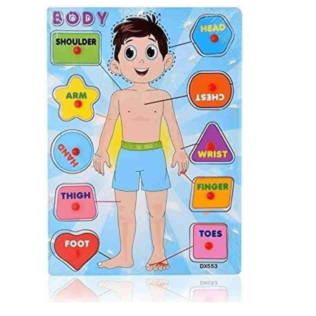 Human Body Parts