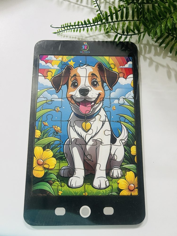 24 pcs Hi5 Tab Puzzle