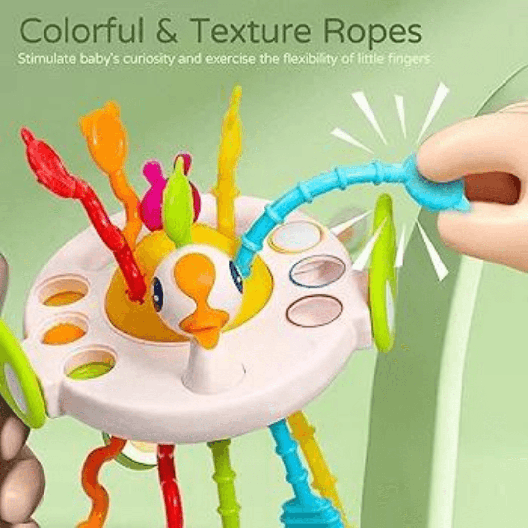 Sensory Pull String Activity Toy
