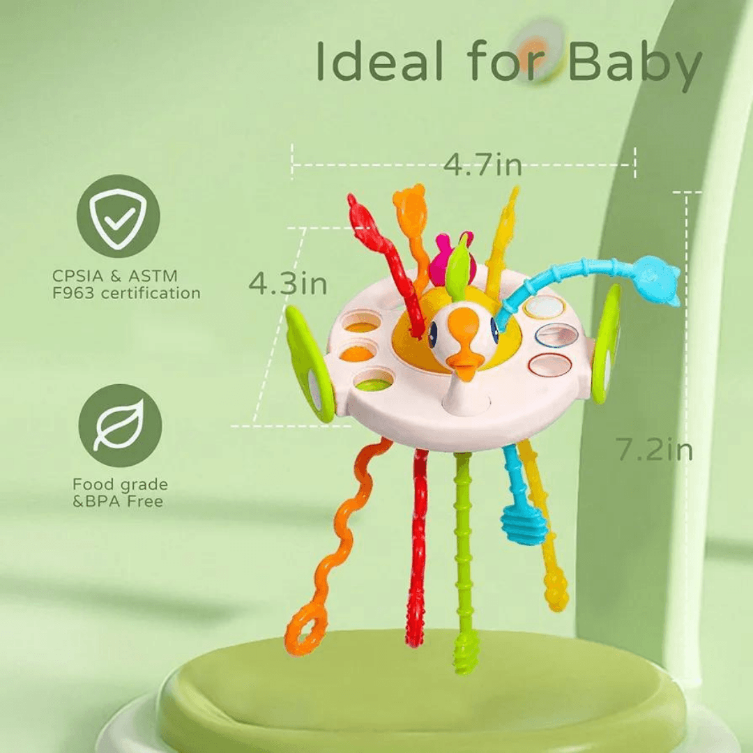 Sensory Pull String Activity Toy