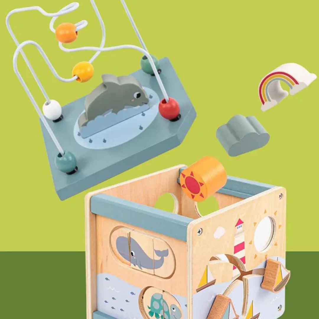5 in 1 Activity Cube