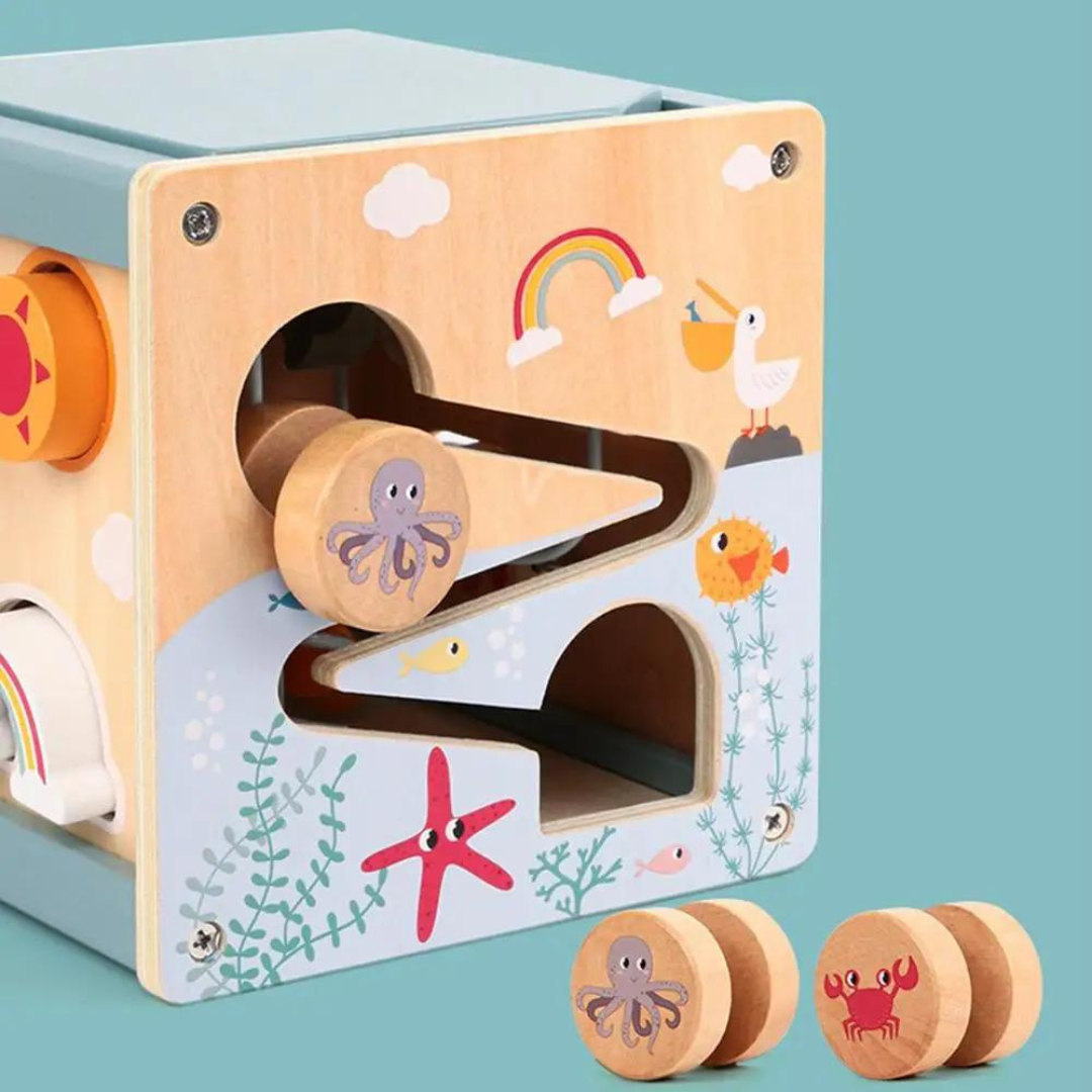 5 in 1 Activity Cube