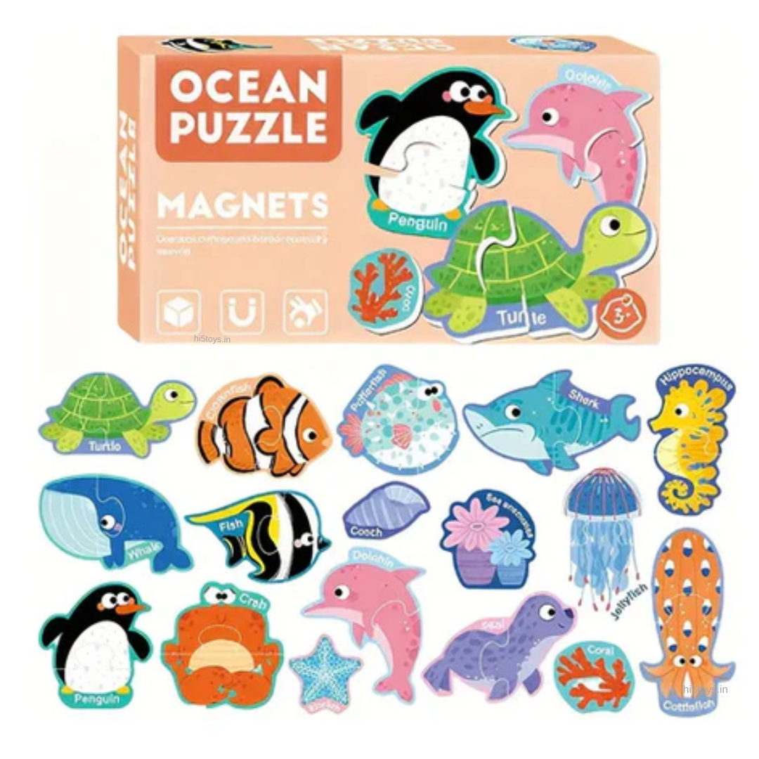 Magnetic Puzzle Set