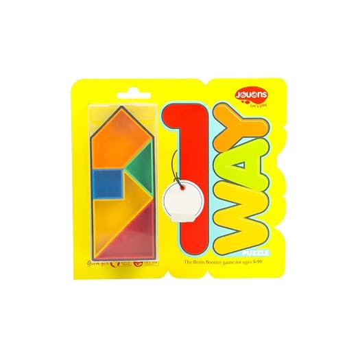 One Way Puzzle
