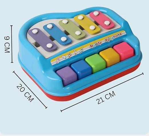 2 in 1 Xylophone Piano