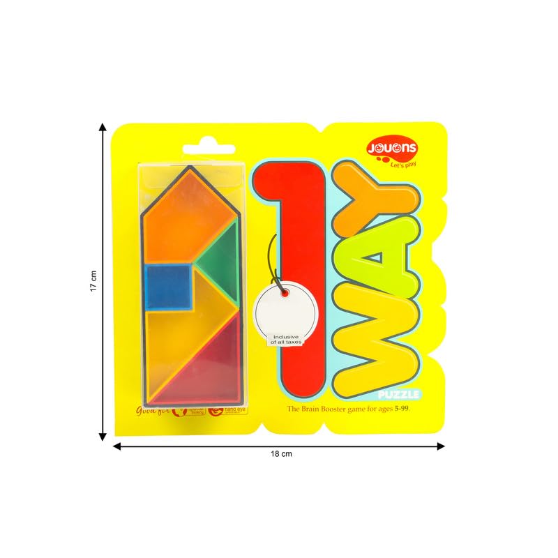 One Way Puzzle
