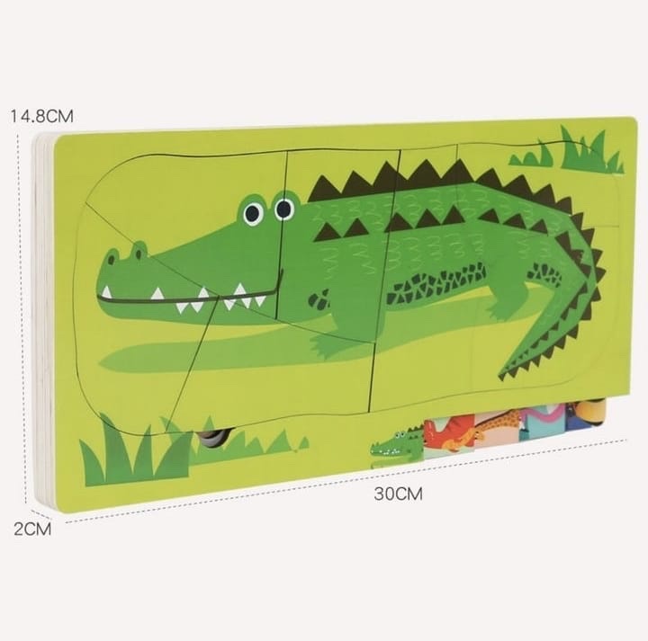 Layer 5 in 1 puzzle