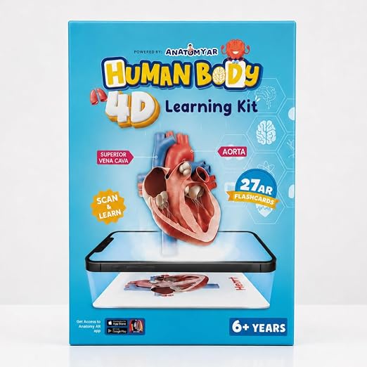 4D AR Human Body