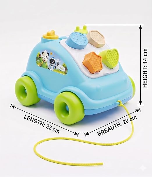 Baby Shape Sorter Pull Along Car