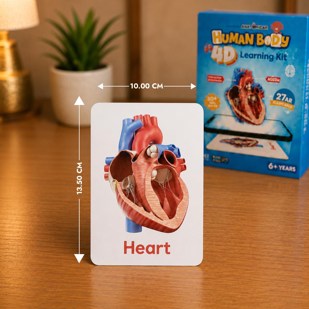 4D AR Human Body