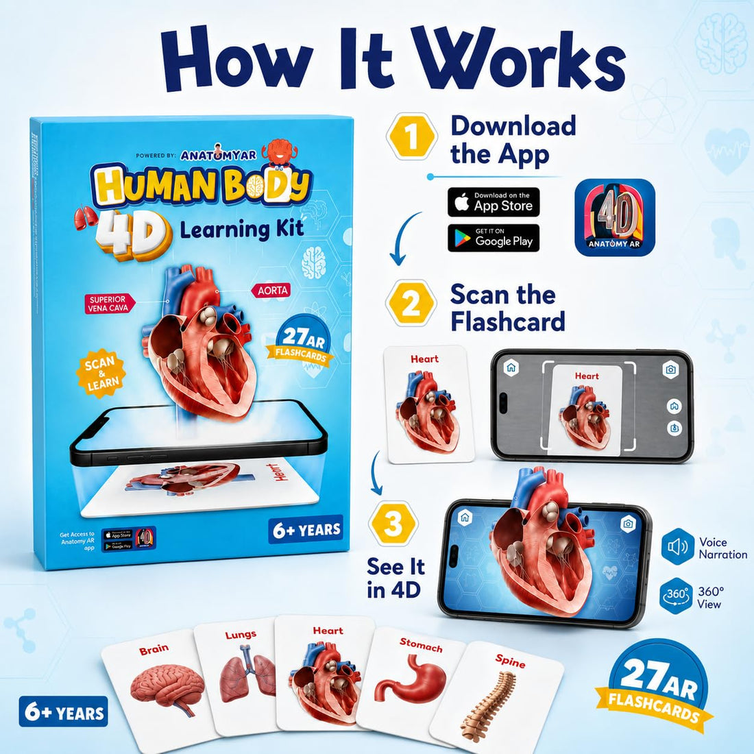 4D AR Human Body