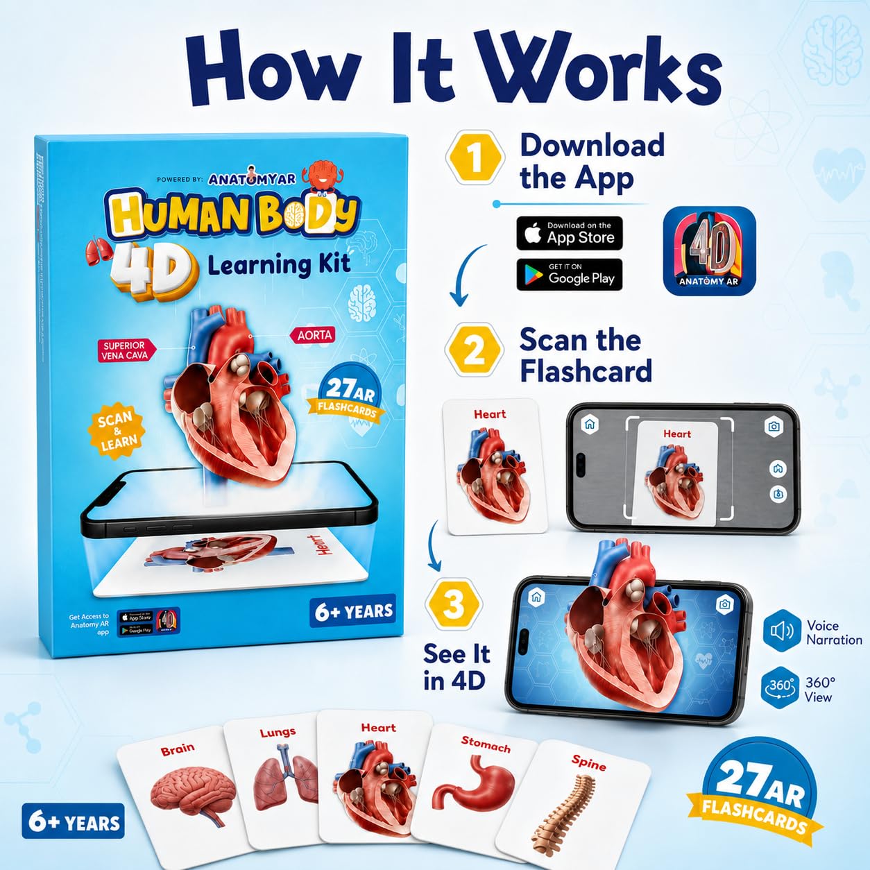 4D AR Human Body