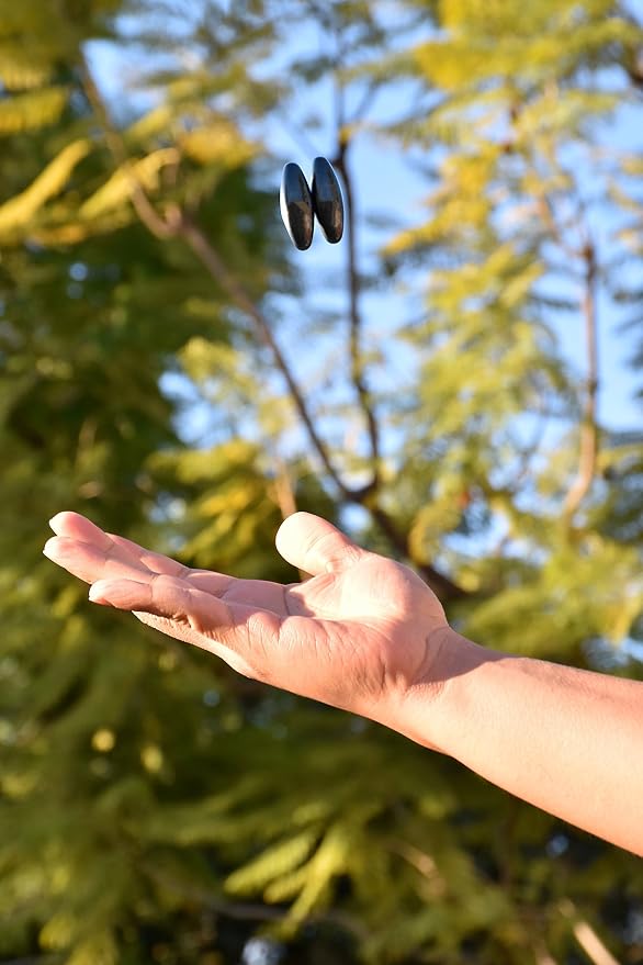 Magnetic fidget