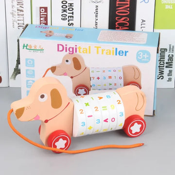 Digital trailer Dog