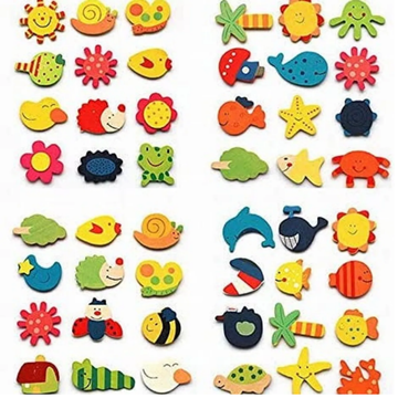 Fridge Magnets - 12 pcs