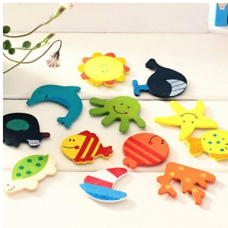Fridge Magnets - 12 pcs