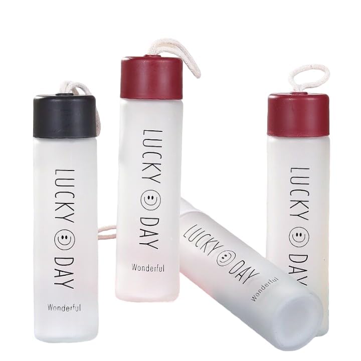 Frosted Glass Bottle (1pc) - 350ML