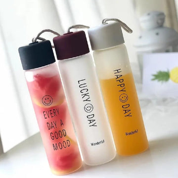Frosted Glass Bottle (1pc) - 350ML