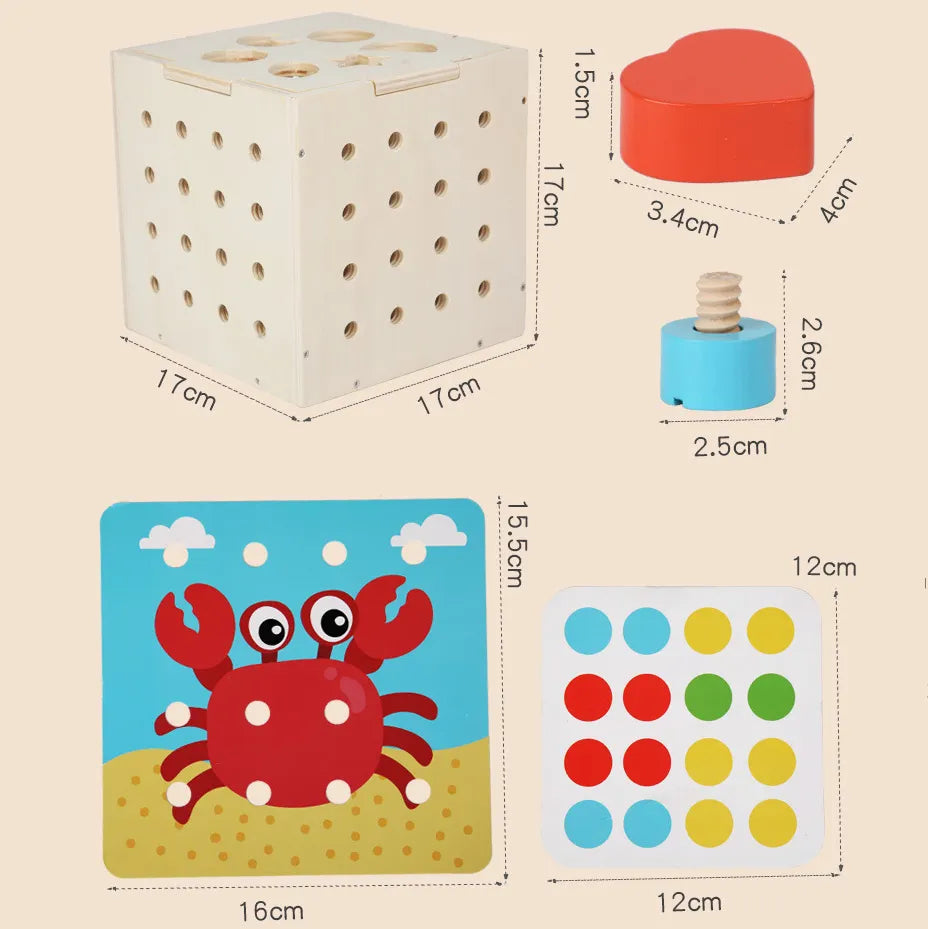 Nut Shape Pairing Box - Shape sorting toy