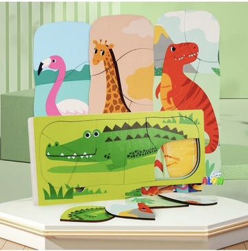 Layer 5 in 1 puzzle