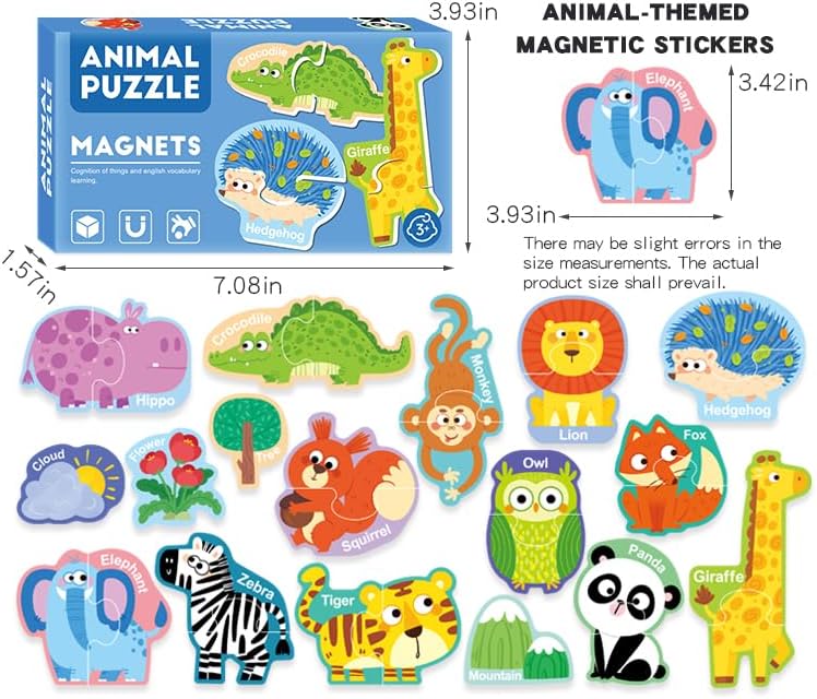 Magnetic Puzzle Set