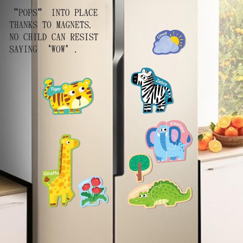 Magnetic Puzzle Set