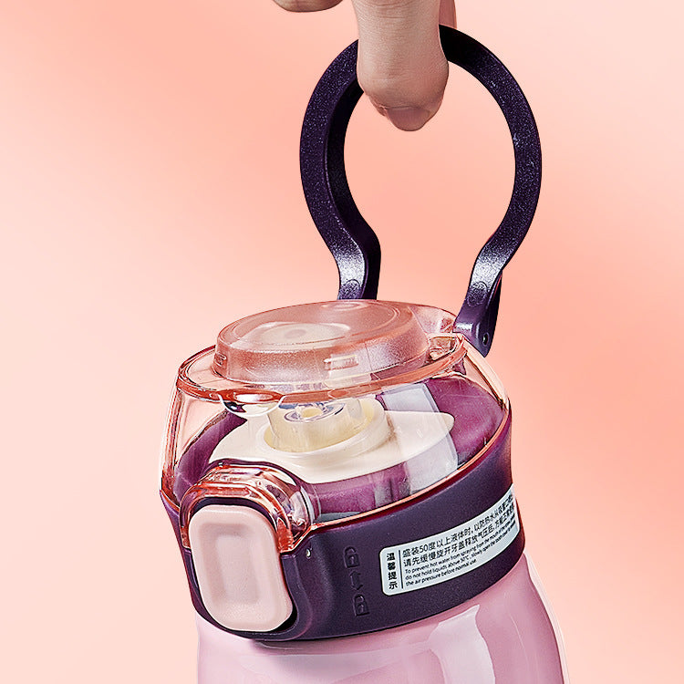 Stainless Steel Insulated Sipper Water Bottles (550 ml)