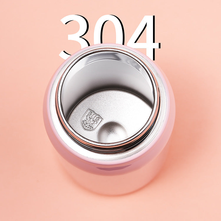 Stainless Steel Insulated Sipper Water Bottles (550 ml)