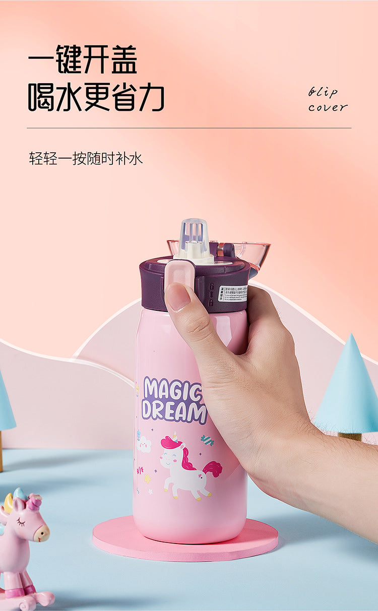 Stainless Steel Insulated Sipper Water Bottles (550 ml)