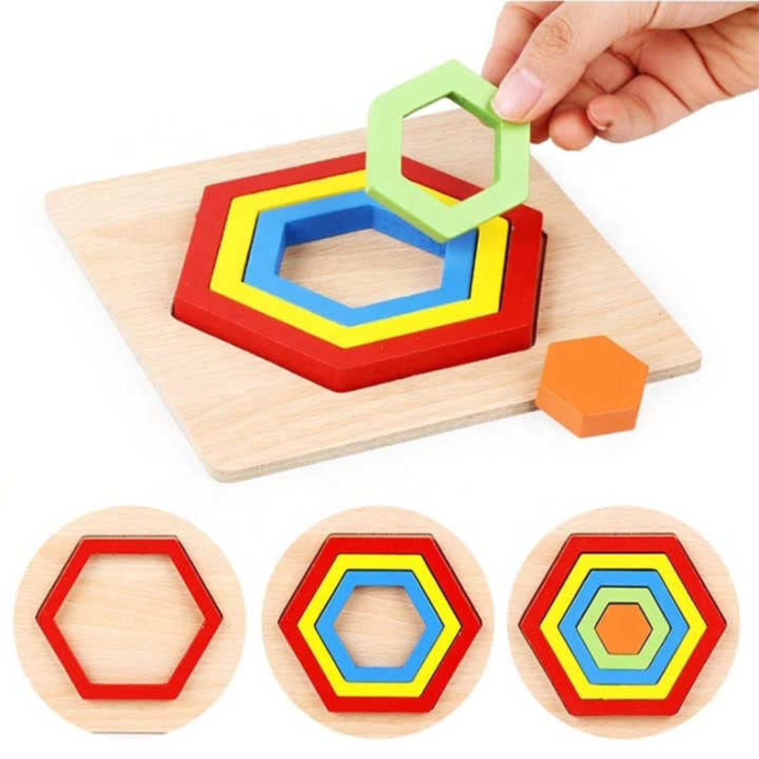 Seriation puzzle (1pc)