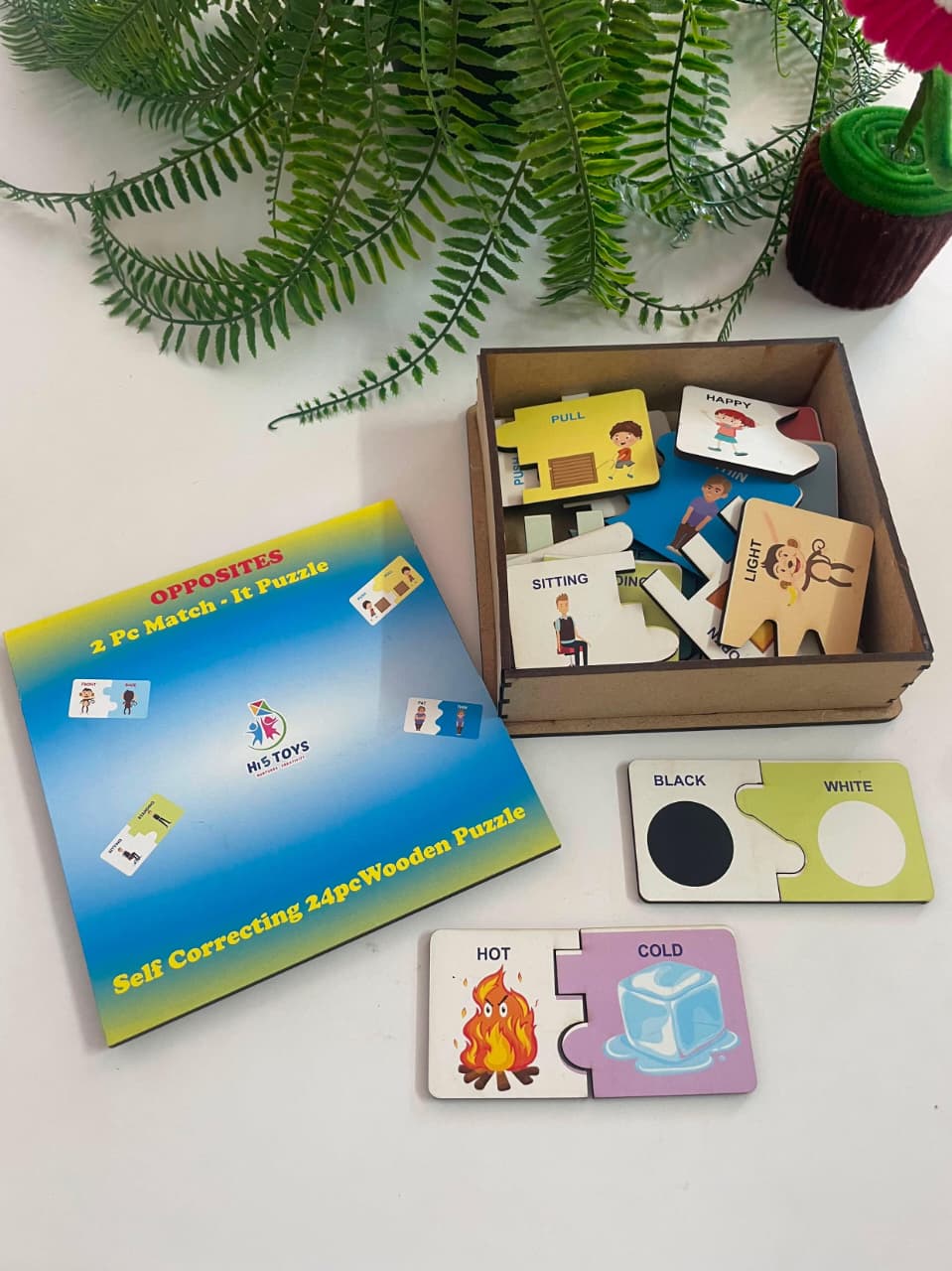 Hi5 Wooden Matching and self correcting Puzzle