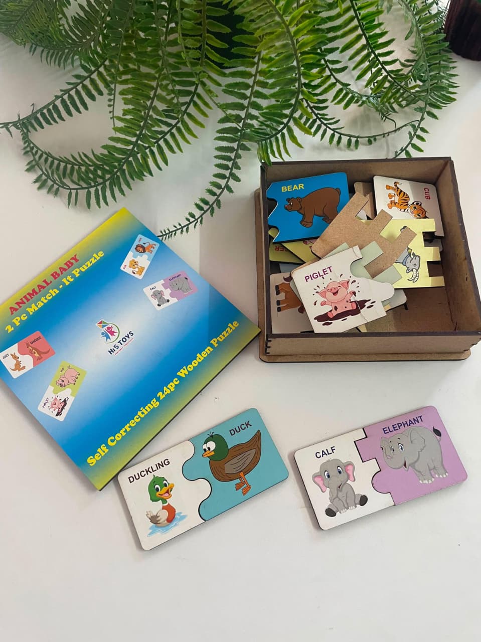 Hi5 Wooden Matching and self correcting Puzzle