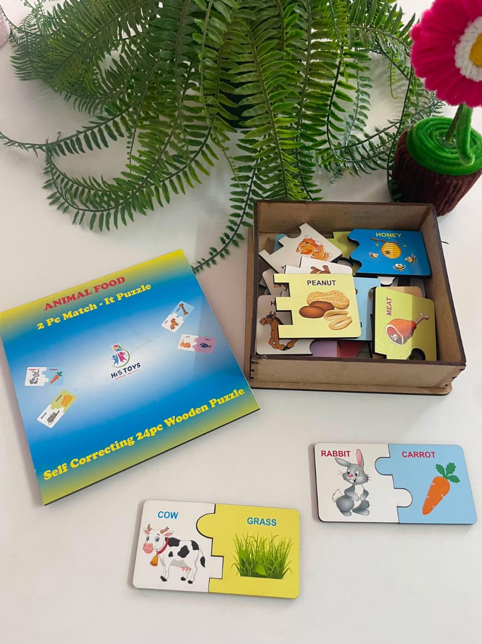 Hi5 Wooden Matching and self correcting Puzzle