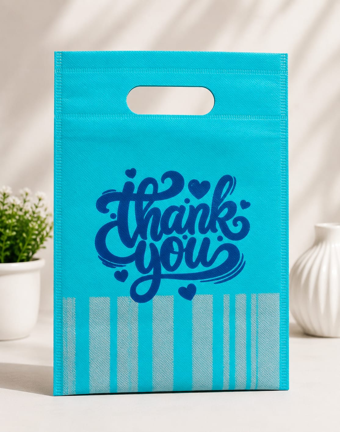 Non Woven Gift Bags (1PC)