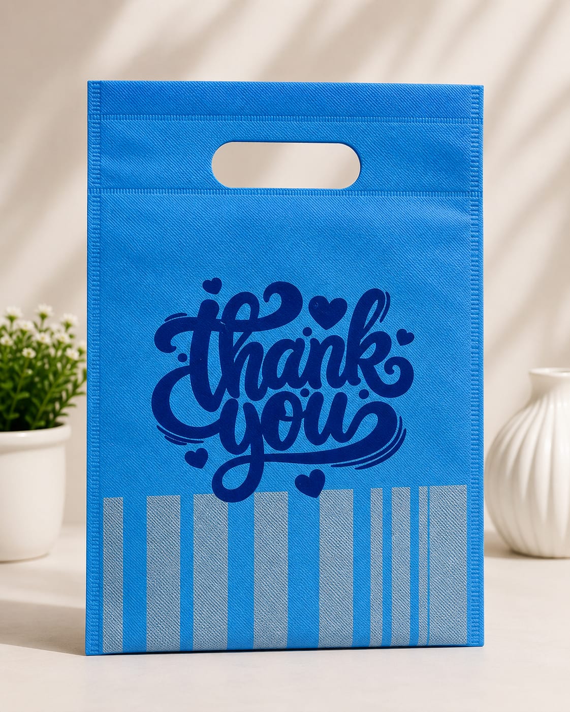 Non Woven Gift Bags (1PC)
