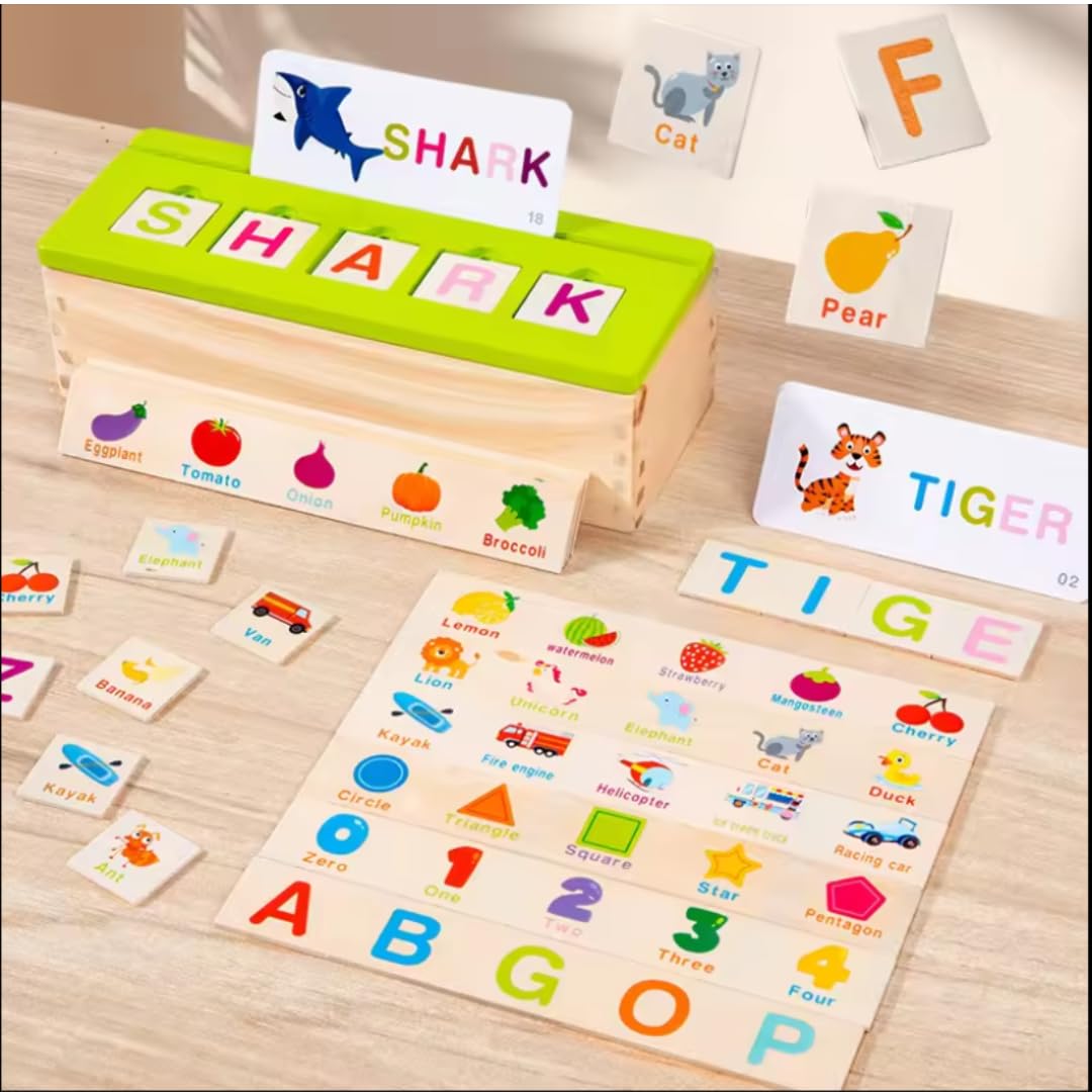 Wooden Knowledge Classification Box