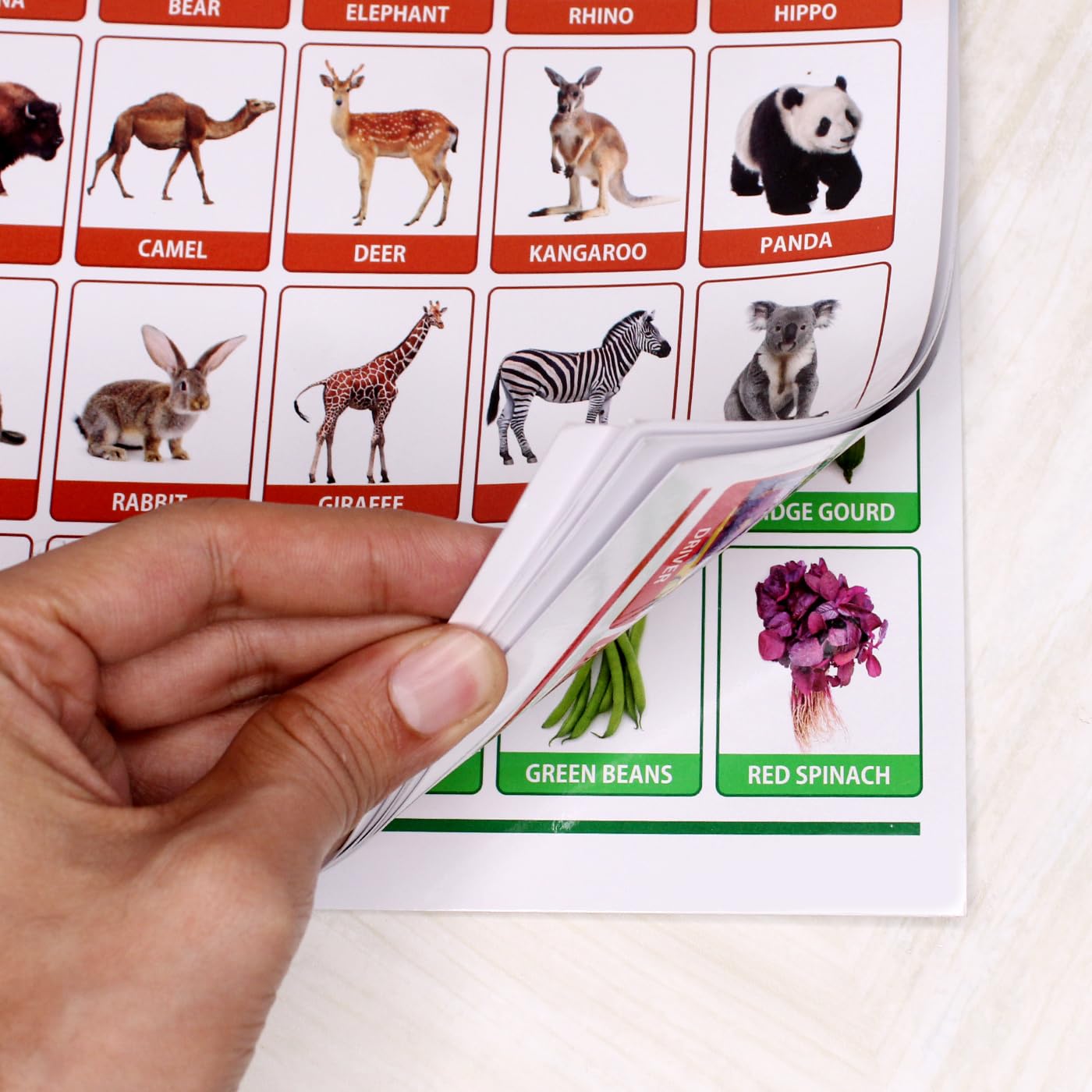 Pre-Learning Wall Chart
