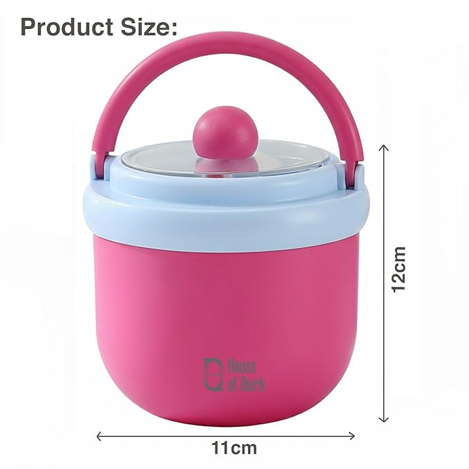 Stainless Steel box with Lid & Spoon