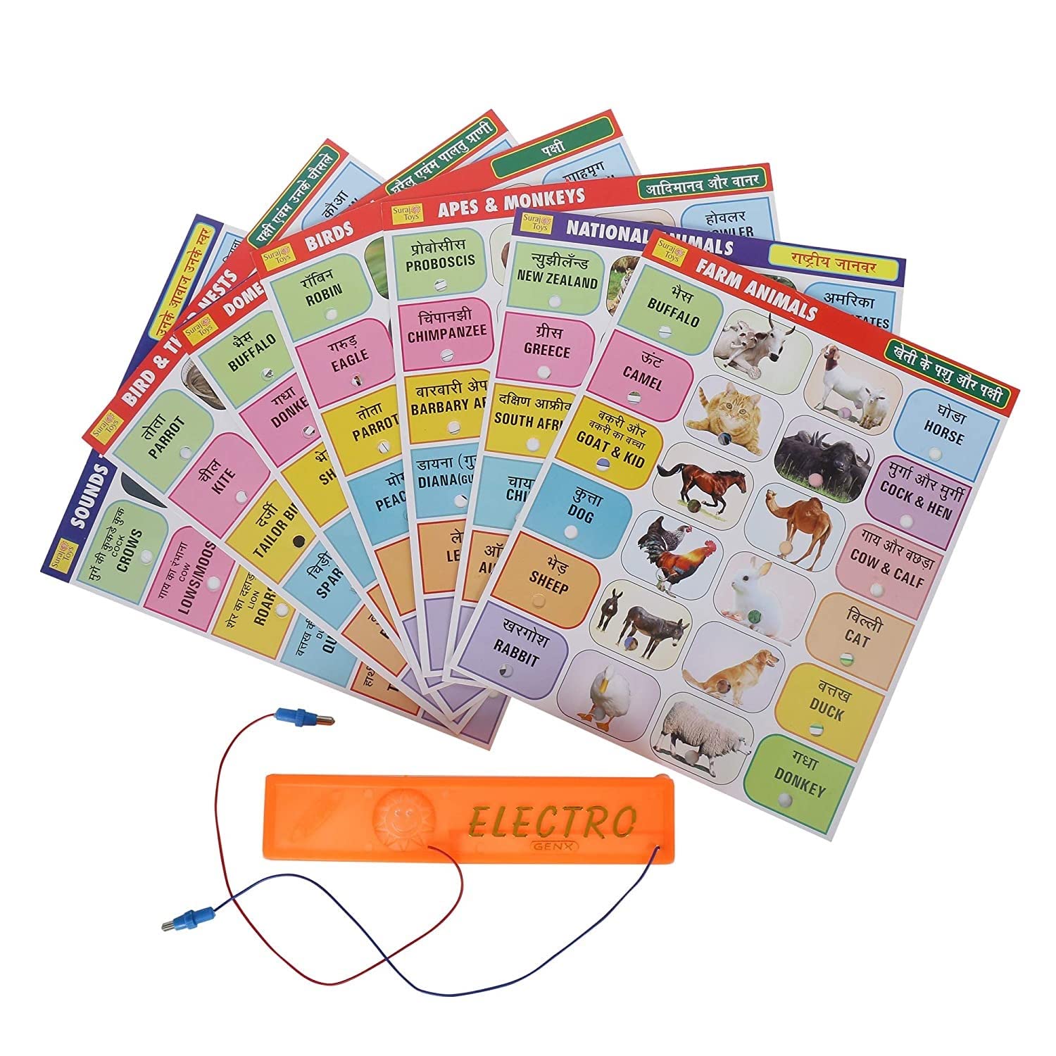 Electro Genx Question and Answer Game