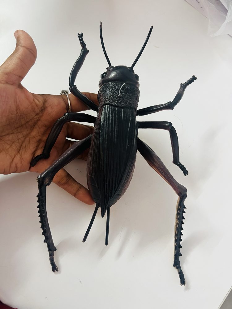 INSECTS – REALISTIC JUMBO SIZE