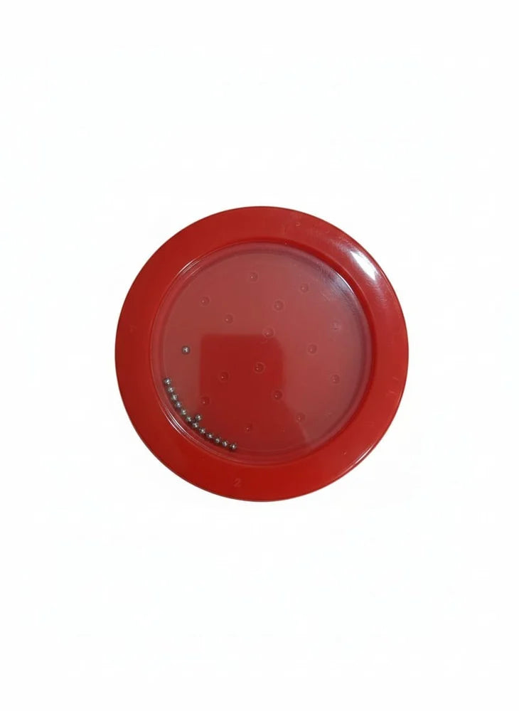 Plastic 16 ball Maze Game