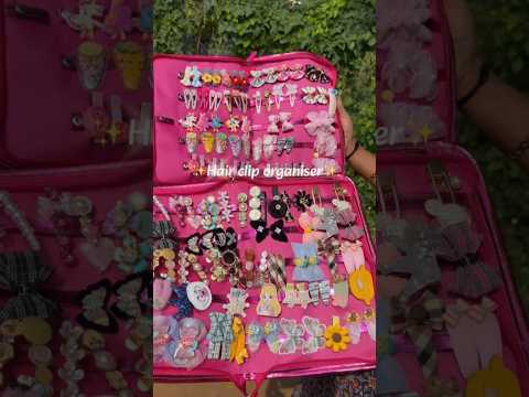 Hair Clips Organizer