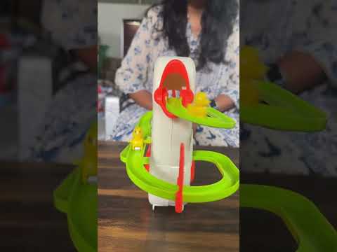 Duck Slide Track Toy