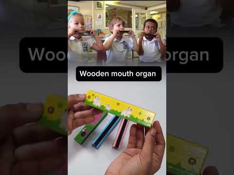 Wooden mouth organ