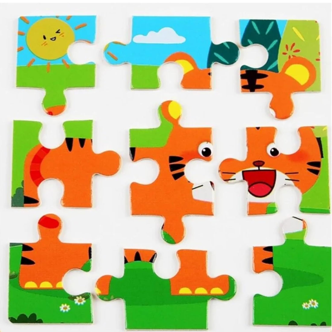 Jigsaw Puzzle (1pc)
