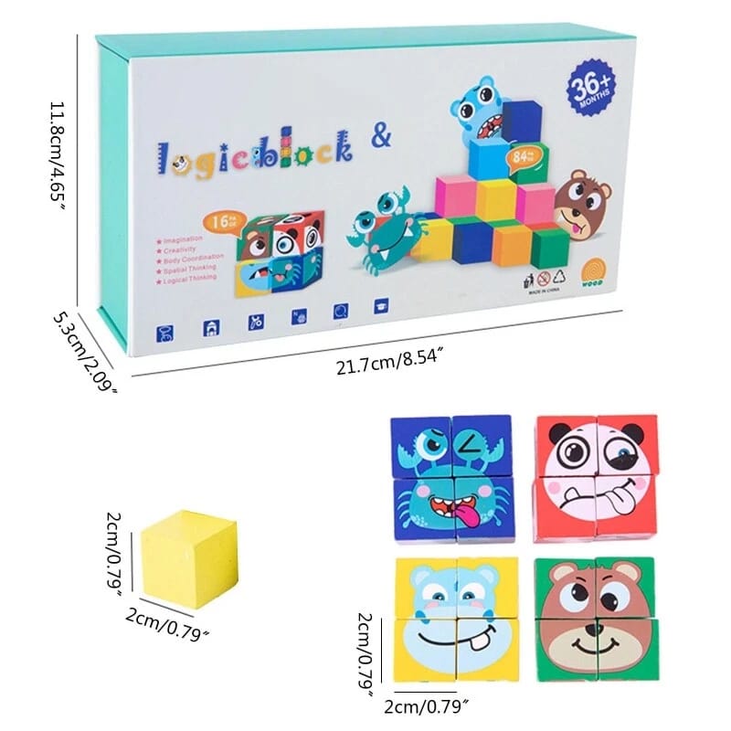 Rubik's Cube & Logic Block
