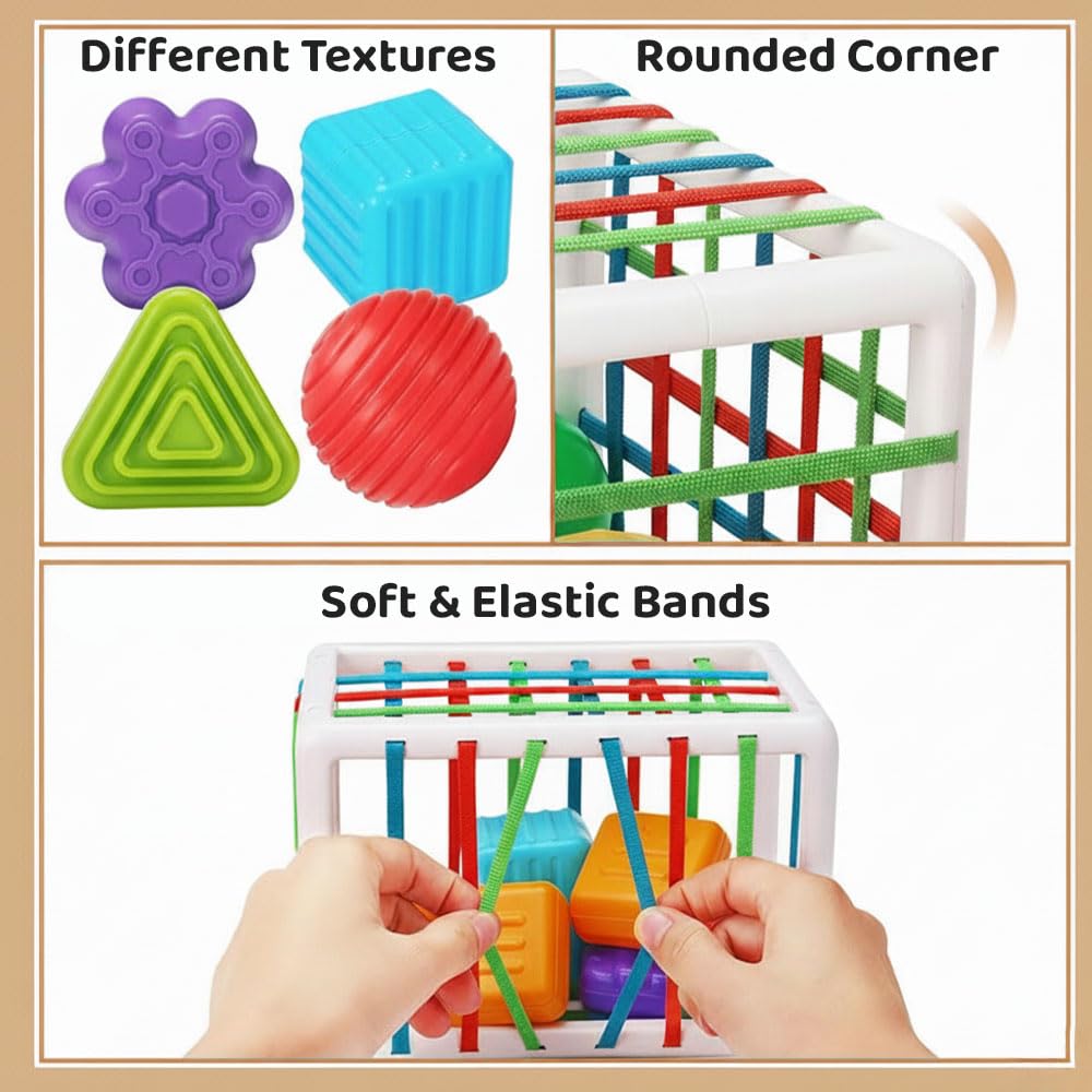 Sensory Sorter