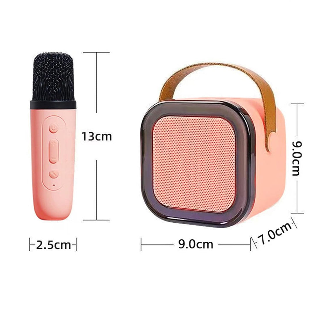 Karaoke Speaker with 2 Wireless Mike