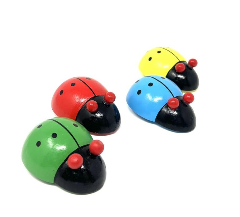 wooden Ladybug Car (1pc)