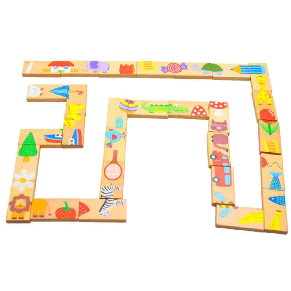 2in 1 Domino puzzle